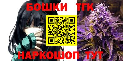 стаф Краснодар