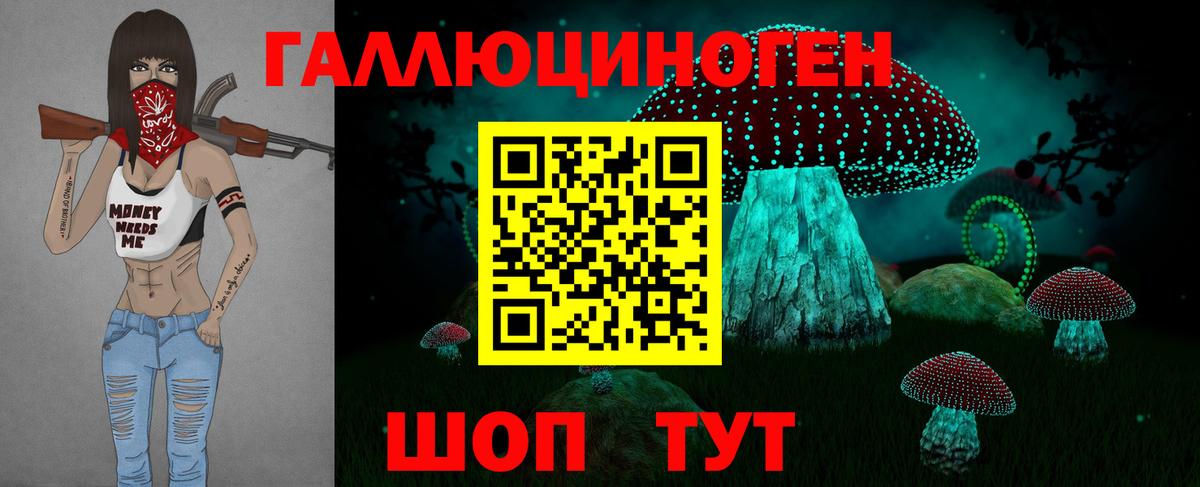 Псилоцибиновые грибы ЛСД  закладки  Киселёвск  Вход с VPN 