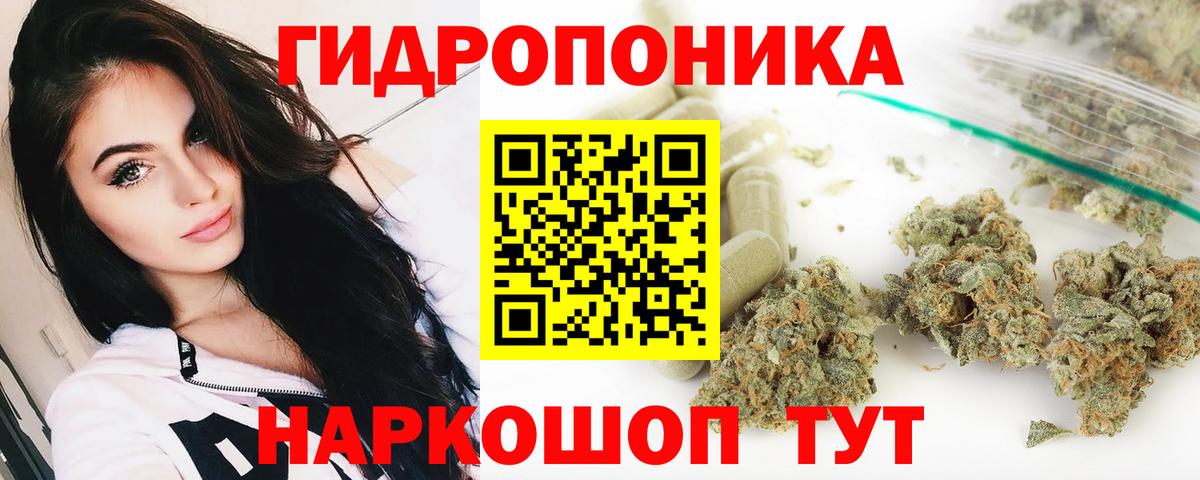 Киселёвск  Конопля THC 21%  Каннабис конопля  Канабис тримм  Вход с VPN  Шишки марихуана конопля 